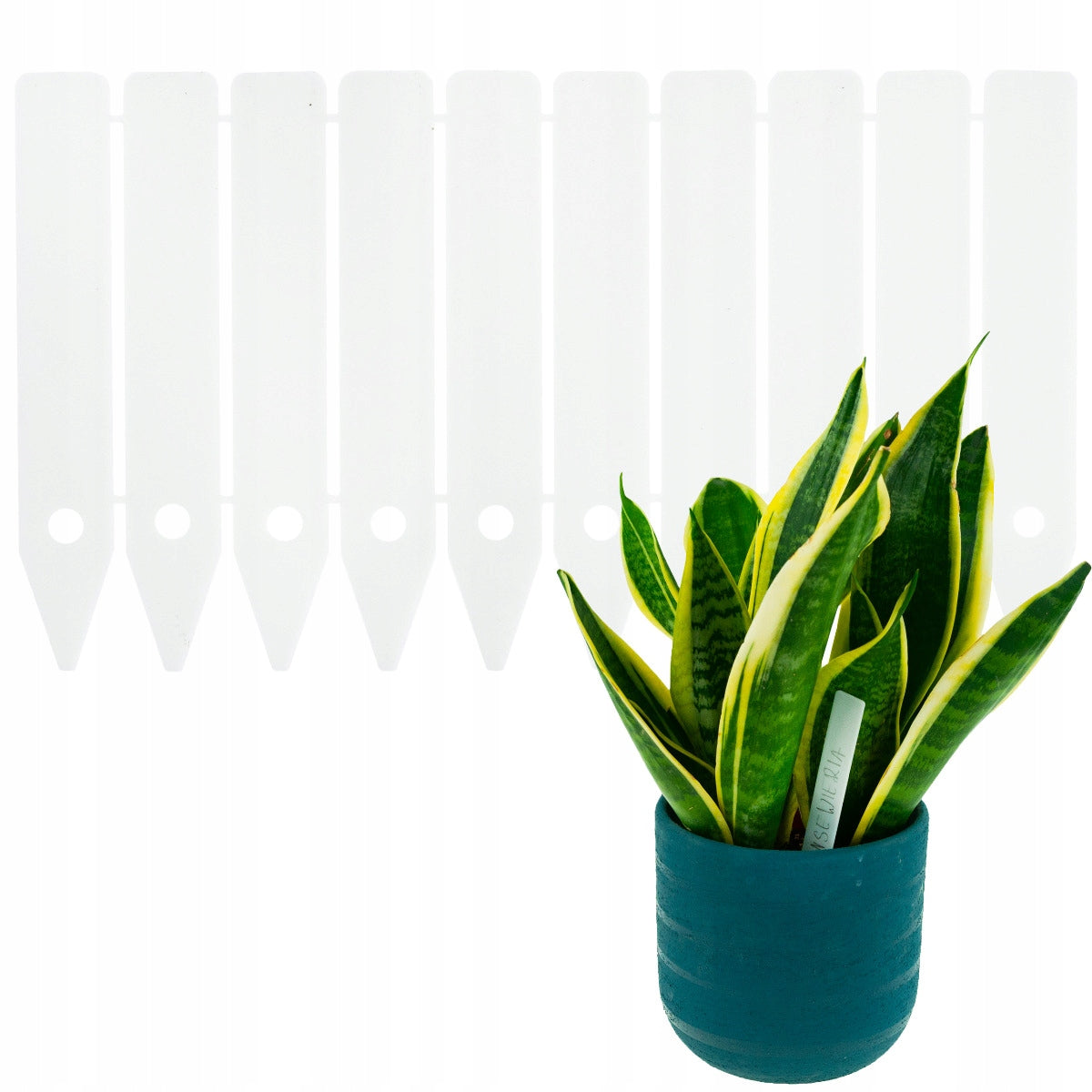 LABELS OF PLATES FOR DESCRIBING PLANTS OF SEEDLINGS MARKERS 10PCS/KPL Packaging status original