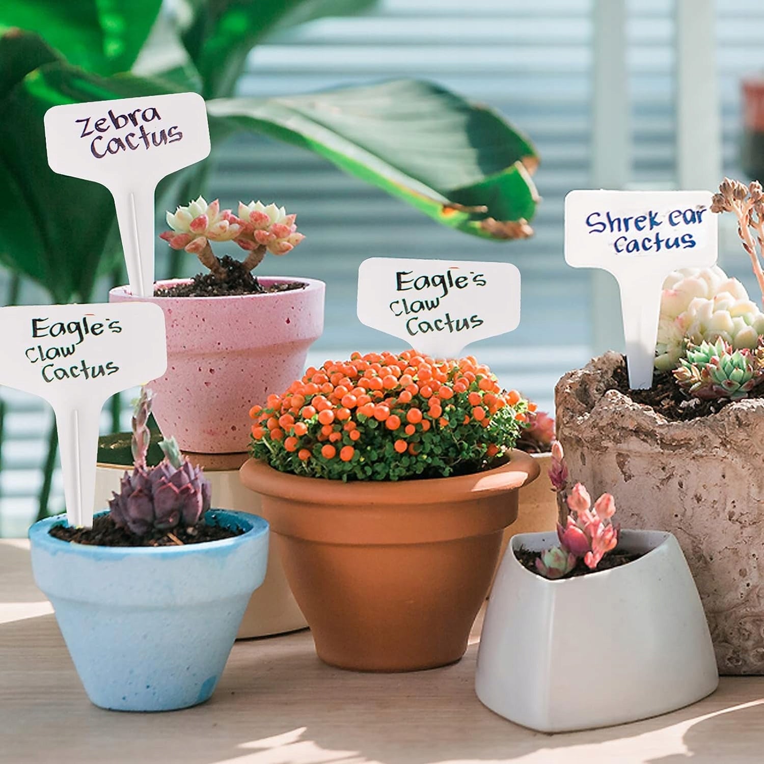 LABELS PLATES FOR DESCRIBING PLANTS, GARDEN FOR FLOWERS, MARKER, 50 pcs. EAN (GTIN) 5907551644286