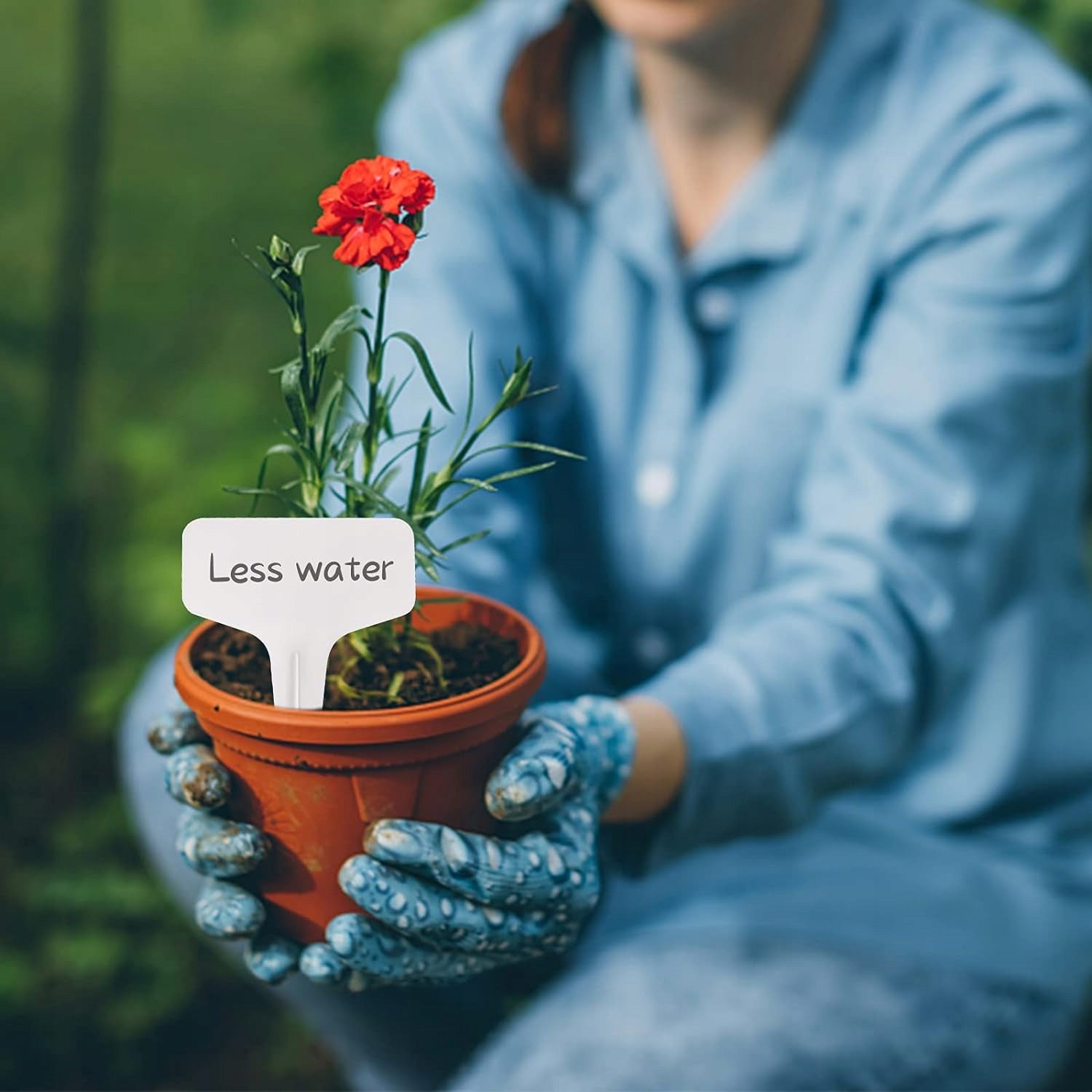 LABELS PLATES FOR DESCRIBING PLANTS, GARDEN FOR FLOWERS, MARKER, 50 pcs. Kind standing