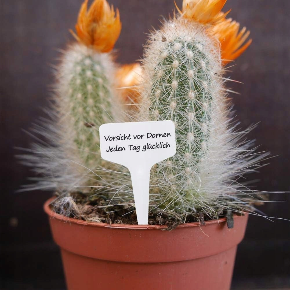LABELS PLATES FOR DESCRIBING PLANTS, GARDEN FOR FLOWERS, MARKER, 50 pcs. Number of pieces 50 pcs