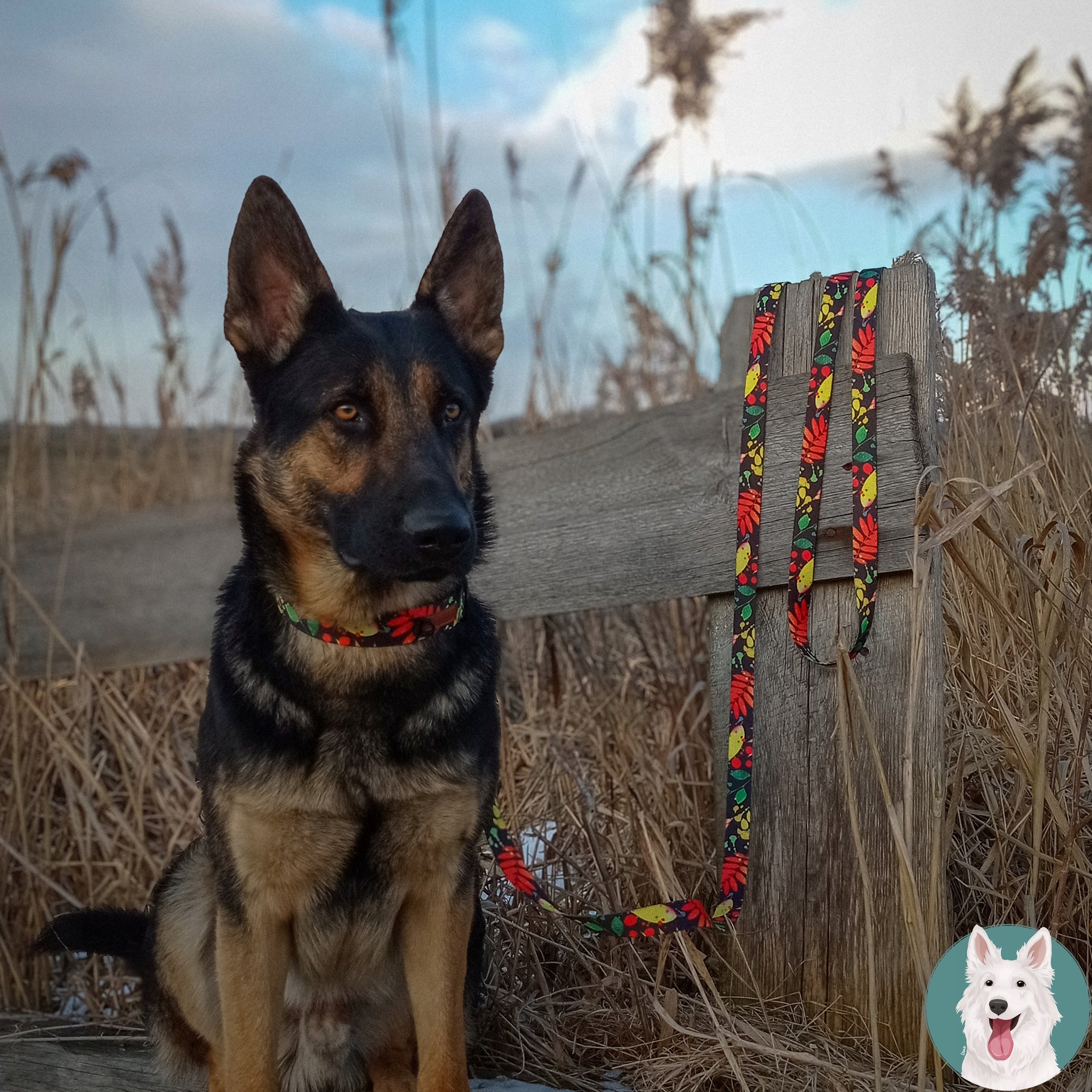 LANYARD ADJUSTABLE 3 meters LARGE DOG Shepherd Ukory BLACK print Trade name Smycz przepinana regulowana 300 cm 2,5 cm PIES W KALEJDOSKOPIE