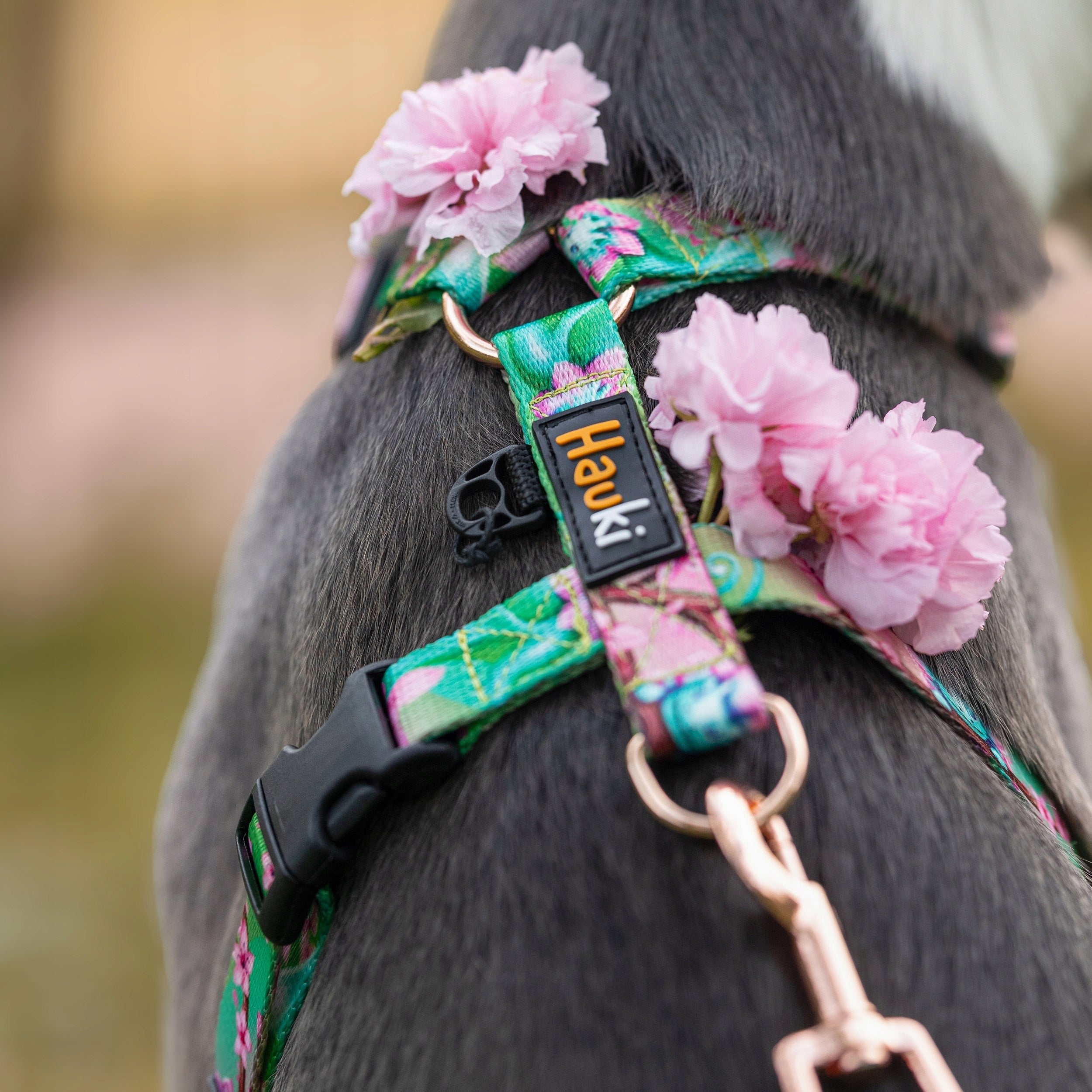 LANYARD FOR A STRONG DOG. made in Poland. 500cm / 2,5cm Brand Hauki