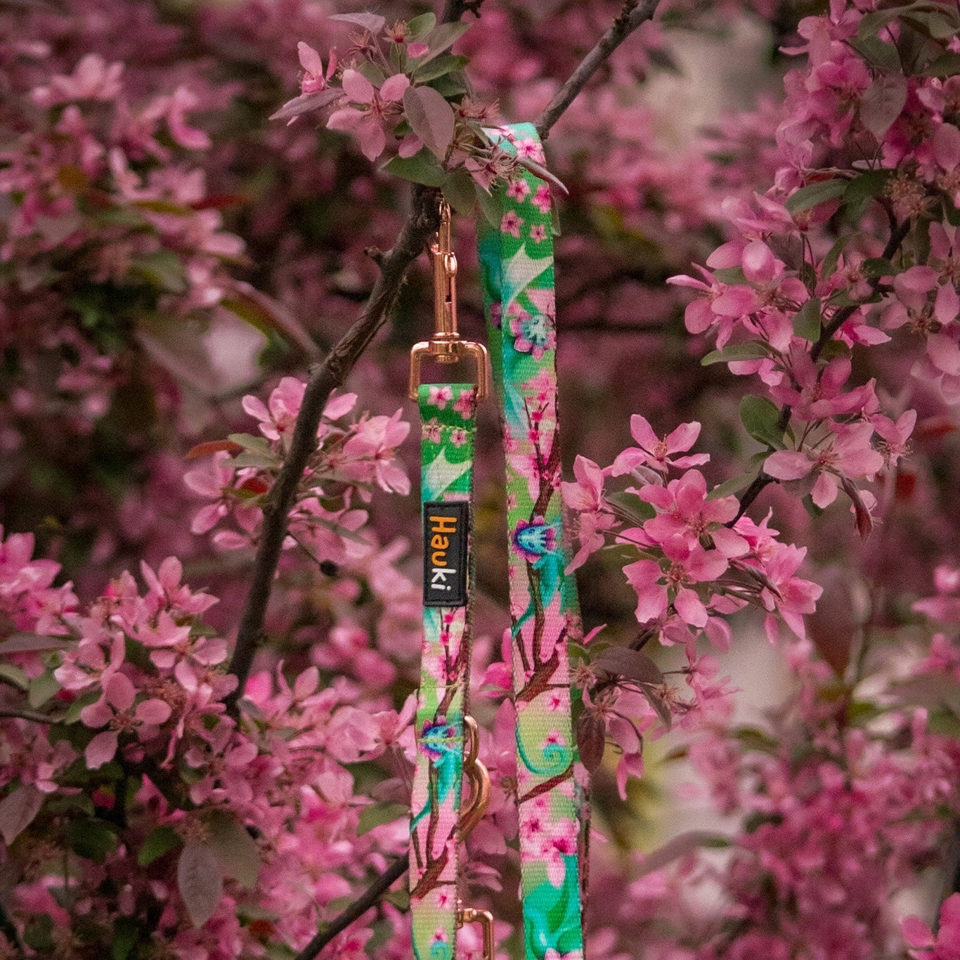 LANYARD FOR A STRONG DOG. made in Poland. 500cm / 2,5cm Material tape