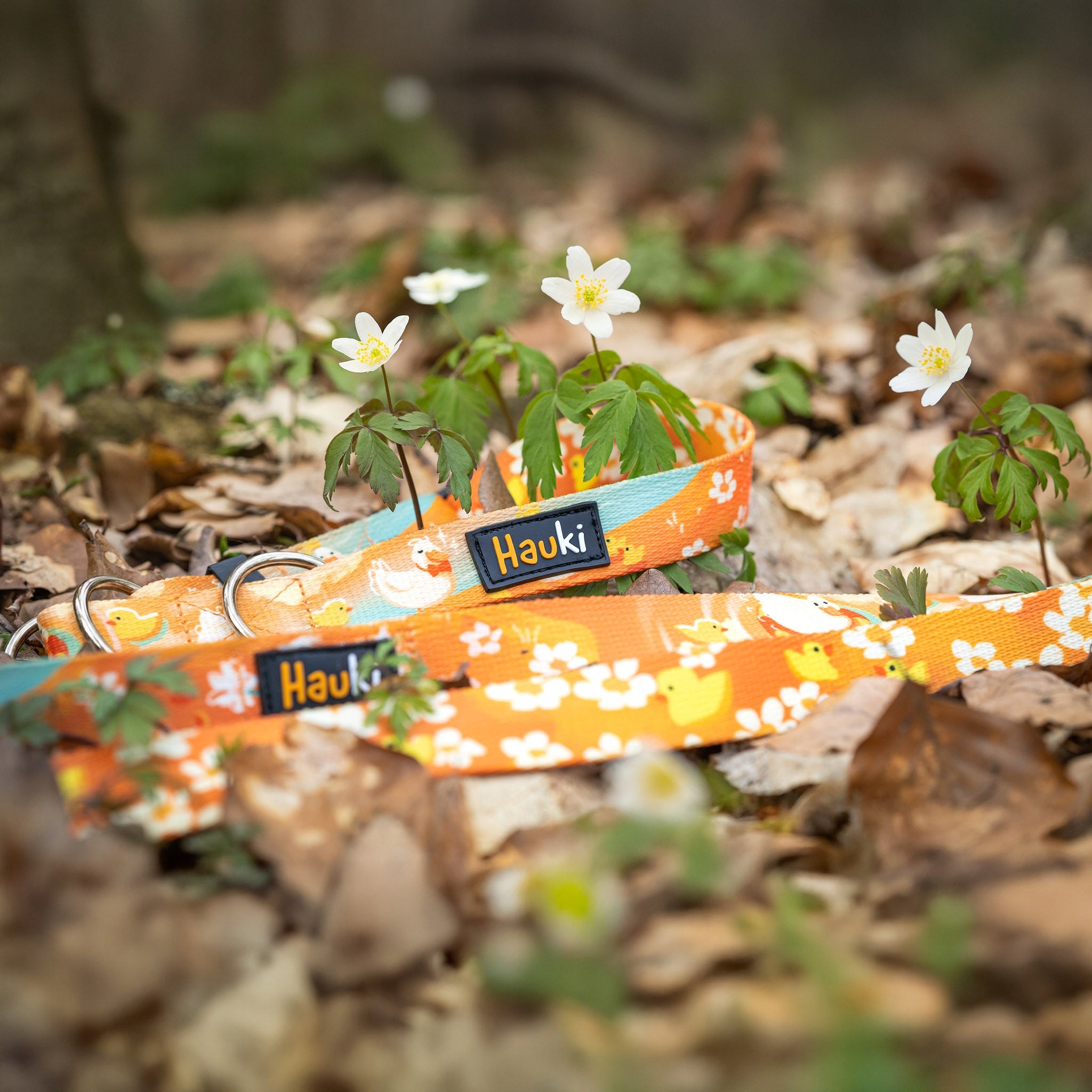 LANYARD FOR BORDER COLLIE. HIGH QUALITY. made in Poland. 220cm / 2cm Product width 2 cm
