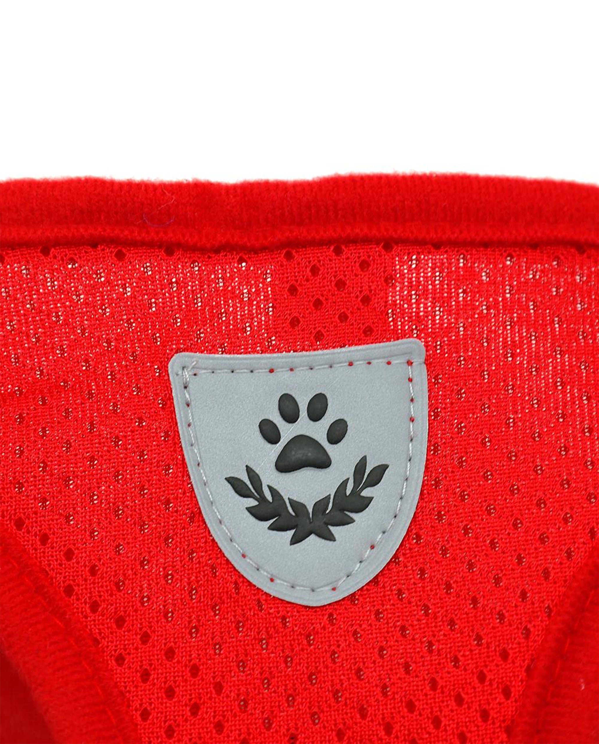LANYARD & HARNESS FOR CAT Small Dog Pressure-Free Walking Breathable Lightweight Color red