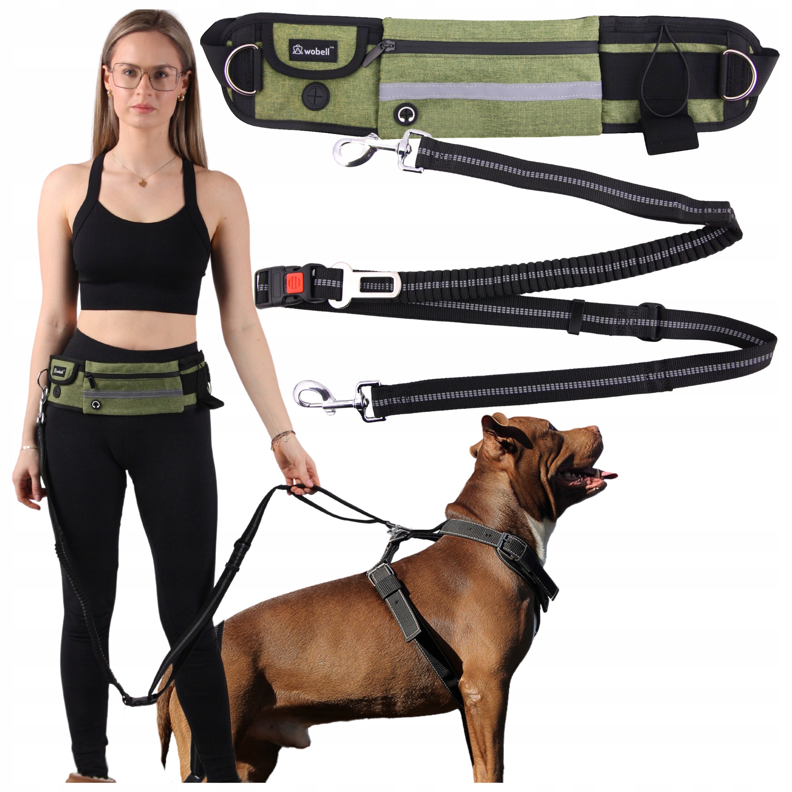 LANYARD HIP BELT KIDNEY for Dog SPORTS ADJUSTABLE SHOCK ABSORBER STRONG 50kg EAN (GTIN) 5903738829453