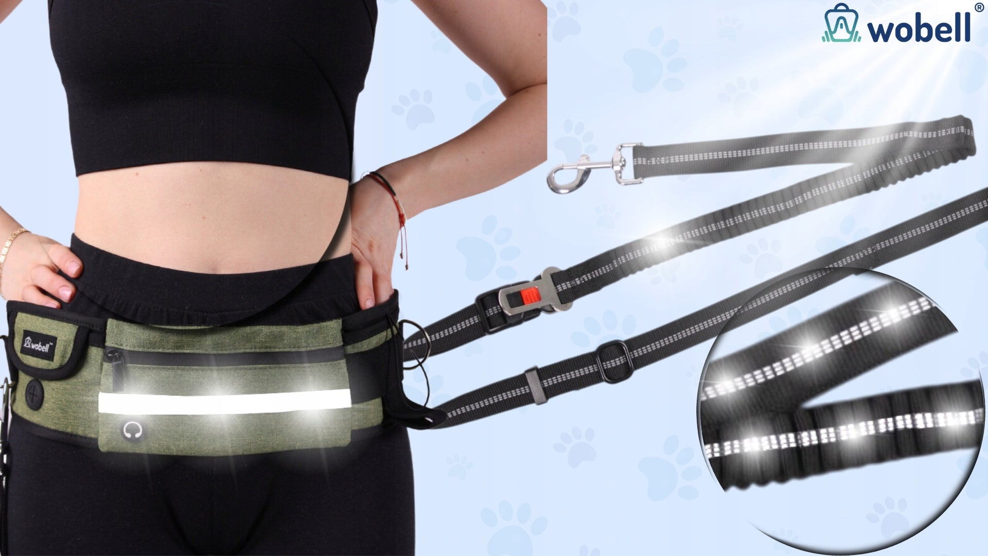LANYARD HIP BELT KIDNEY for Dog SPORTS ADJUSTABLE SHOCK ABSORBER STRONG 50kg Trade name Pas trekkingowy z amortyzatorem