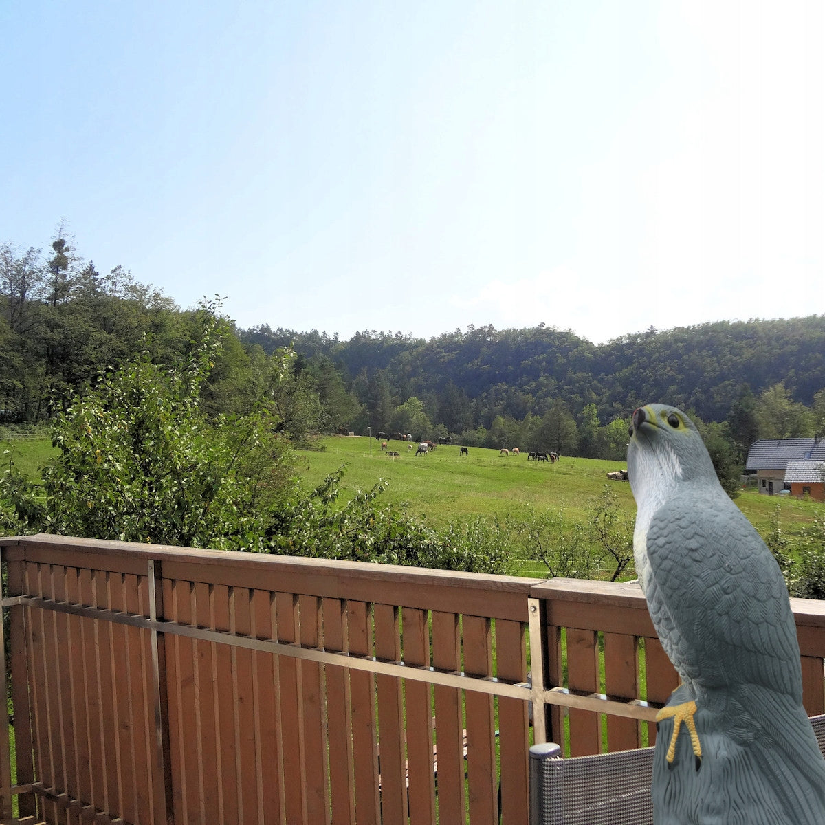 LARGE BIRD REPELLENT PIGEON STARLINGS FALCON ON ROCK EFFECT SHINY EYES Kind repellent