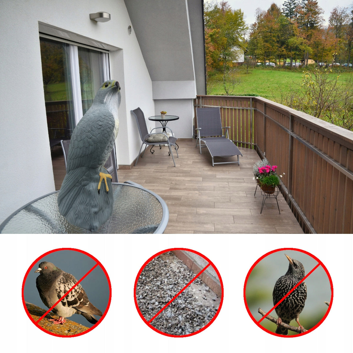 LARGE BIRD REPELLENT PIGEON STARLINGS FALCON ON ROCK EFFECT SHINY EYES Manufacturer code Realistyczny model z błyszczącymi oczami
