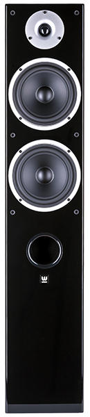 LARGE COLUMNS WILSON RAPTOR 7 black +5m QED cable