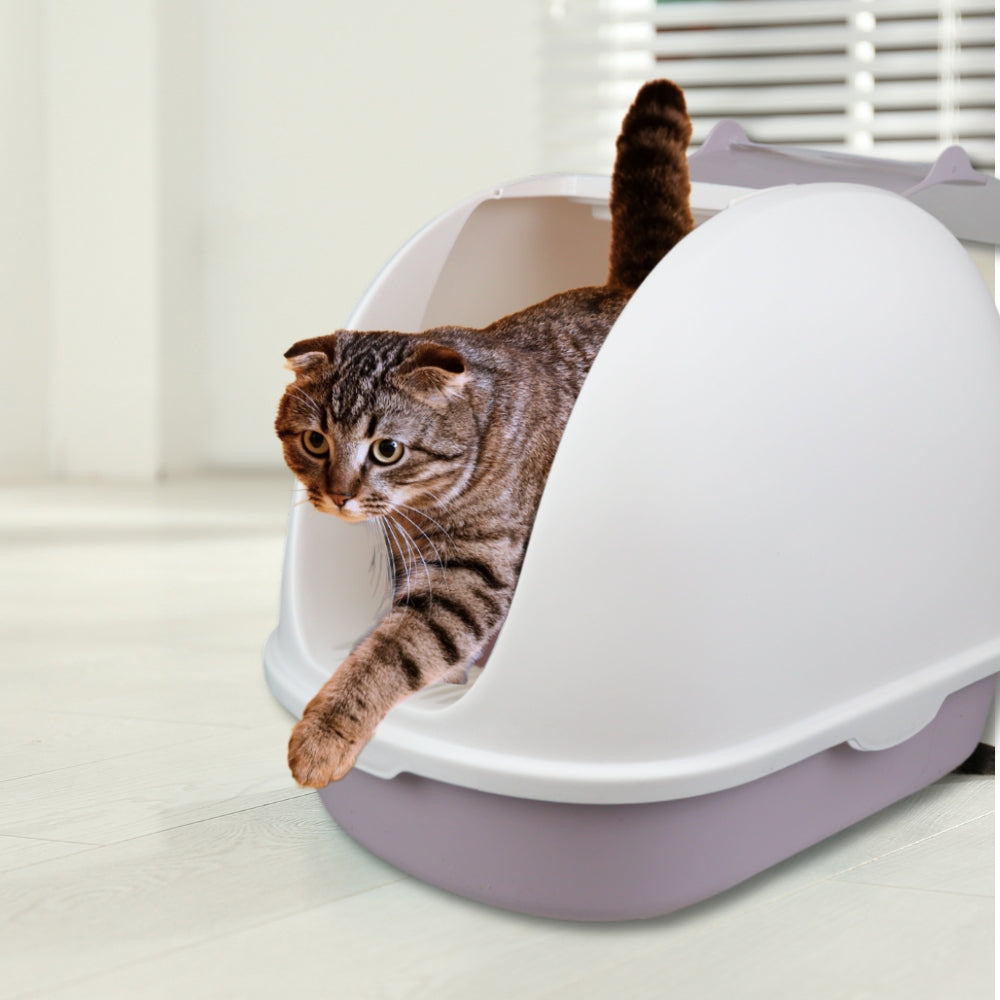 LARGE LITTER BOX XXL FOR CAT CLOSED WITH FLAP DURABLE + LITTER SPATULA Model Kuweta Dla Kota Zamknięta Z Klapką ROXY + Łopatka