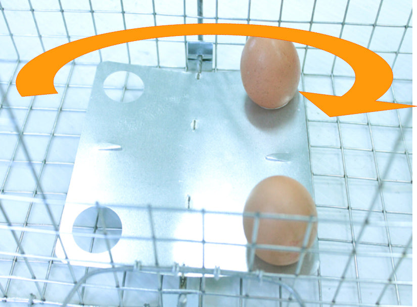 LARGE LIVETRAP TRAP FOR MARTENS, RATS, MINKS, COWARDS, CATS, GRACES, PL Kind trap