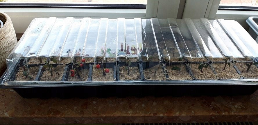 LARGE MULTI-POTS FOR SOWING seedlingS COVER CELL TRAY -60cm Product width 22 cm