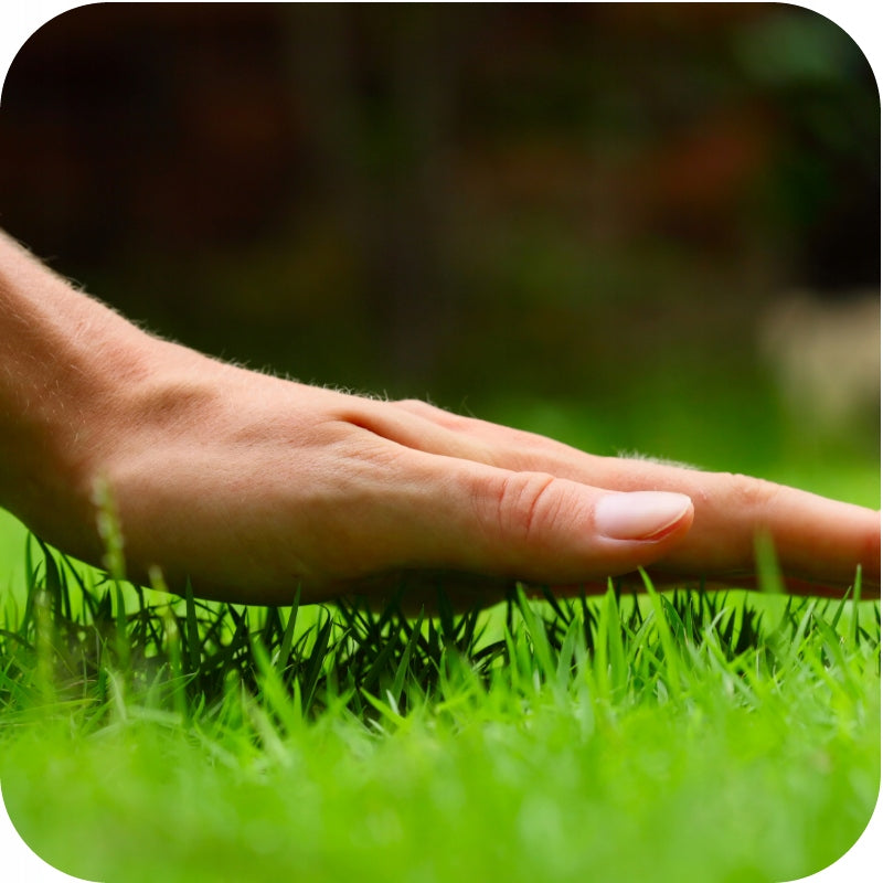LAWN FERTILIZER GARDEN 2001 5KG SIARKOPOL Volume 2 l