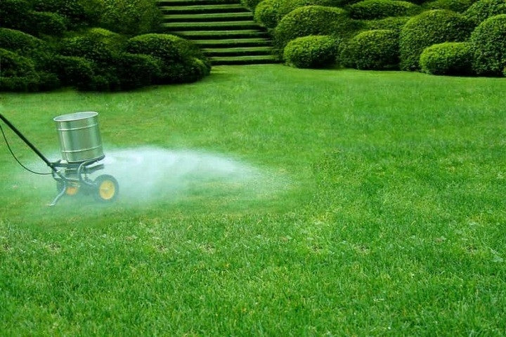LAWN FERTILIZER WITH MOSS FLOROVIT MASTER LAWN SPORT 25KG Manufacturer Grupa Inco