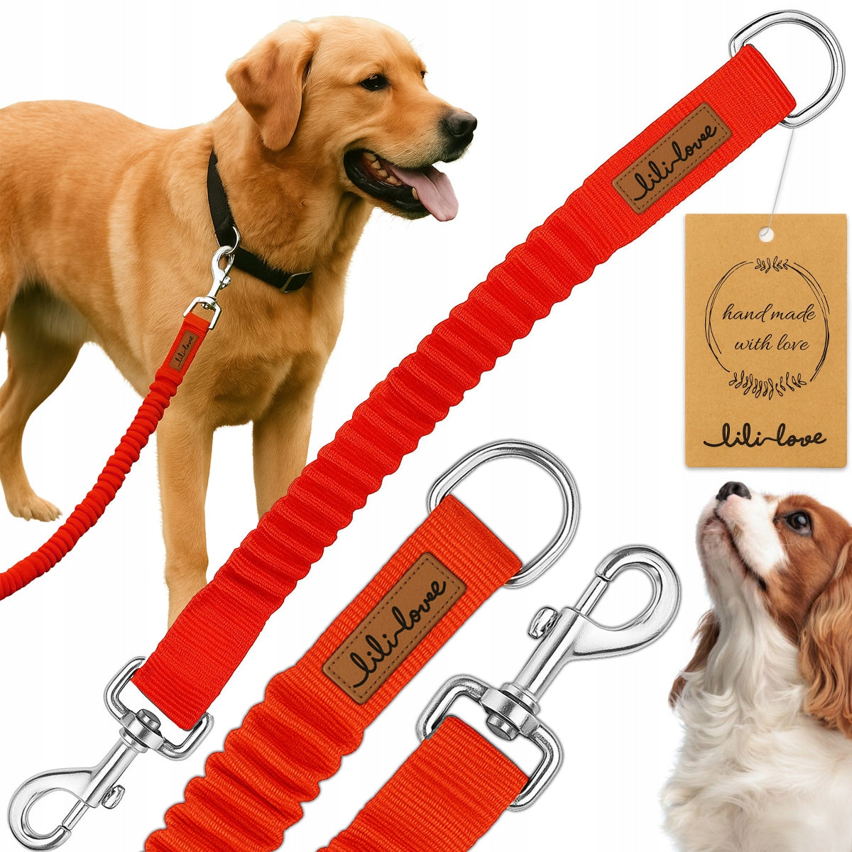 LEASH ELASTIC SHOCK ABSORBER FOR TRAINING LEASH FOR JERKY DOG STRONG