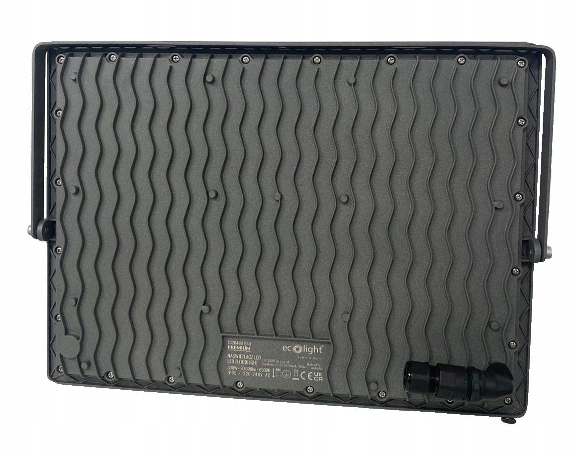 LED Floodlight Outdoor Headlight 30W 6500K White Cold Waterproof Packaging status original