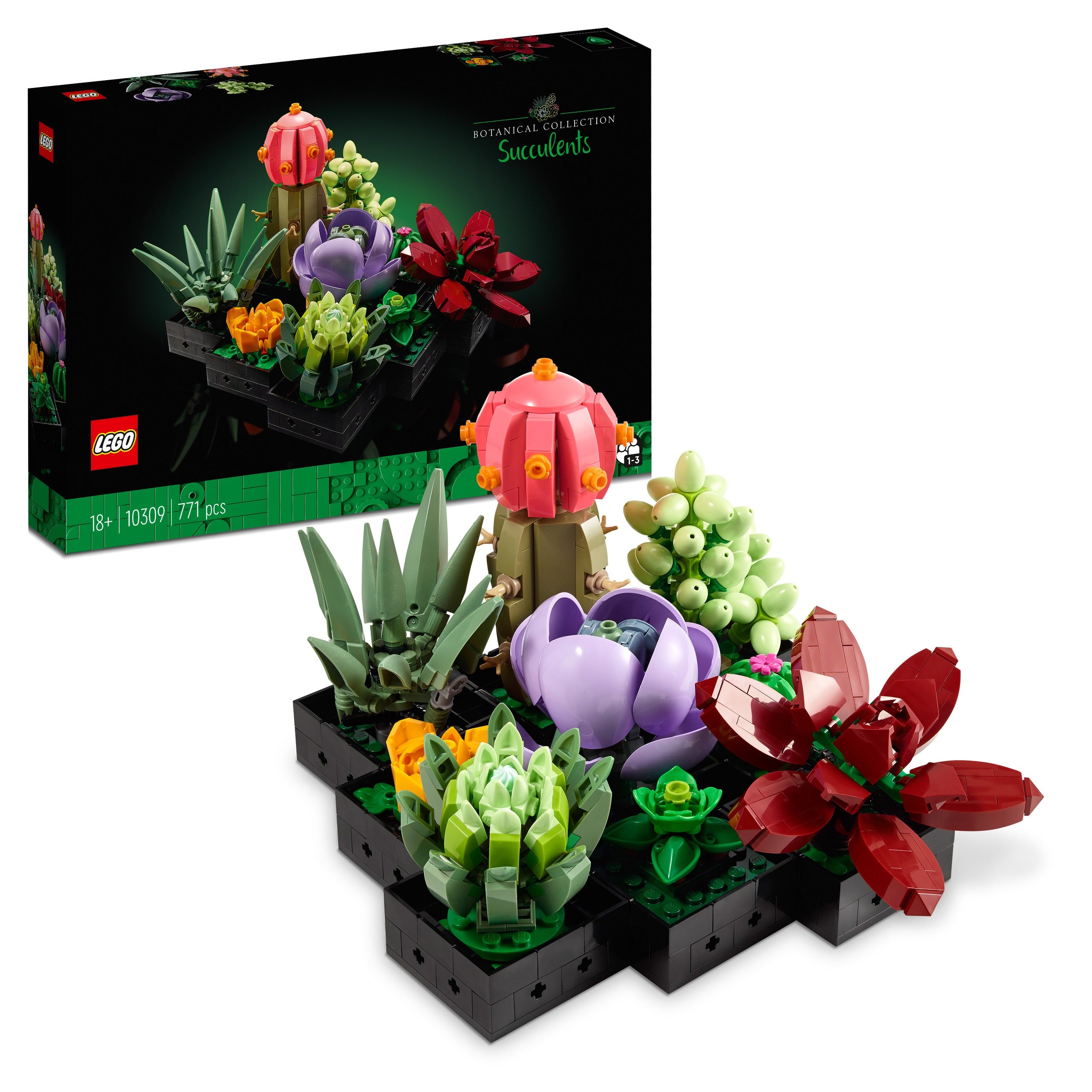 LEGO Botanicals 10309 Succulents