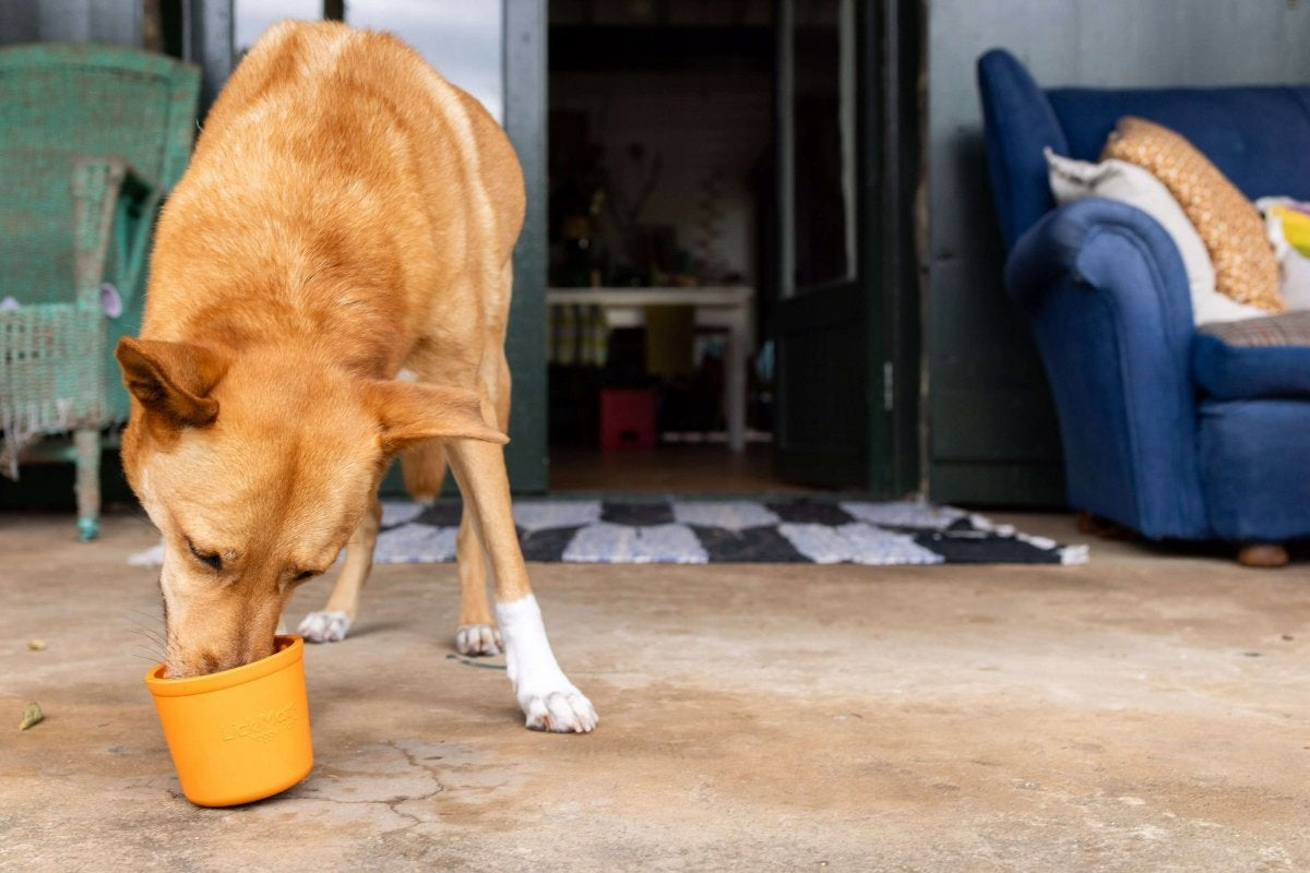 LICKING TRAY MAT FOR DOG CAT ANTI-STRESS LICKIMAT YOGGIE POT 9,5x9cm Trade name LickiMat Yoggie Pot różowy