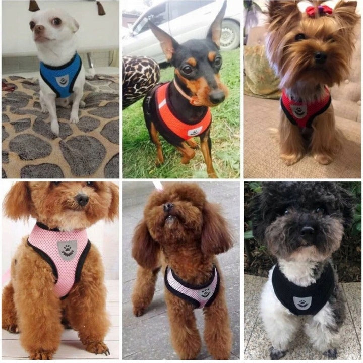 LIGHTWEIGHT ADJUSTABLE BLACK HARNESS FOR SMALL CAT DOG + LEASH 120CM SIZE M Trade name LEKKIE REGULOWANE CZARNE SZELKI DLA MAŁEGO PSA KOTA + SMYCZ 120CM ROZMIAR M
