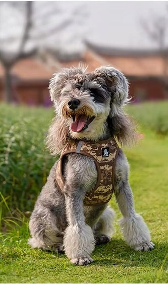 LIGHTWEIGHT SOFT Step-in Harness for Small Dog Truelove Mini XS - Maltese Manufacturer code TL-SZ-mini-fi-br-BRA-XS