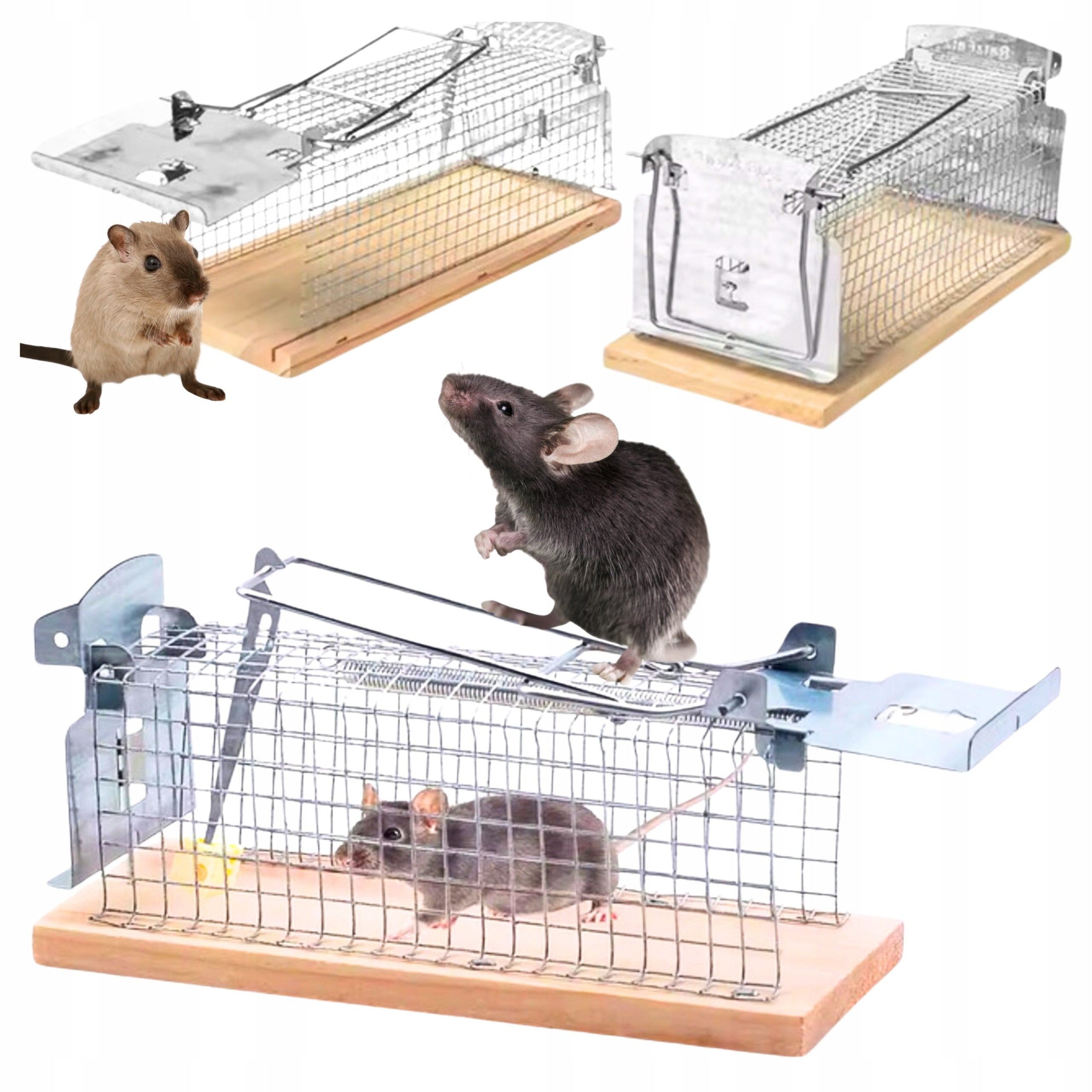 LIVETRAP PAW MOUSETRAP RATS RODENTS HUMANE METAL