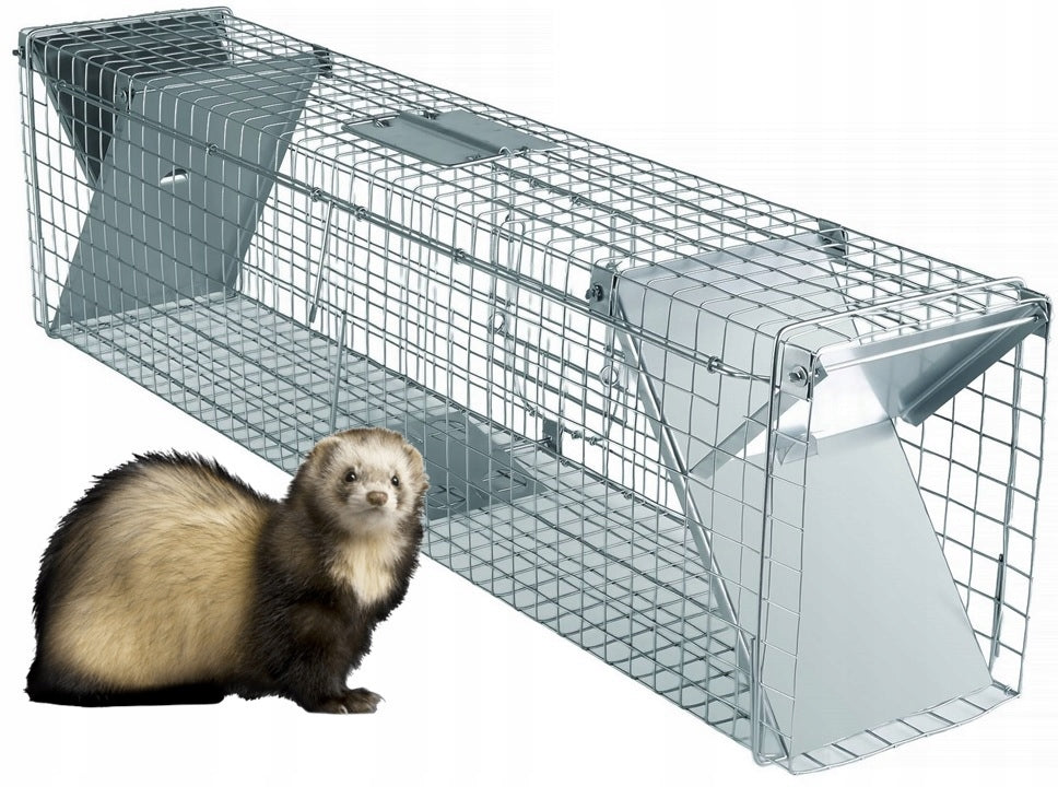 LIVETRAP TRAP MARTENS, MINK, RATS, COWARDS, STRONG, Polish PRODUCT