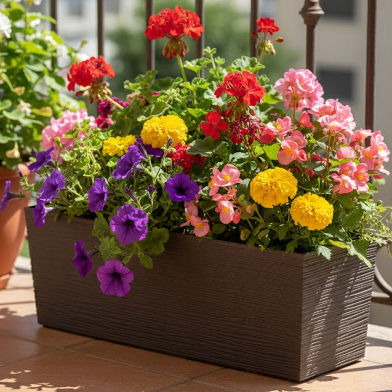 LONGITUDINAL PLANTER BRONZE 56x19 cm garden box flowerbed for terrace balcony Brand HowHomely