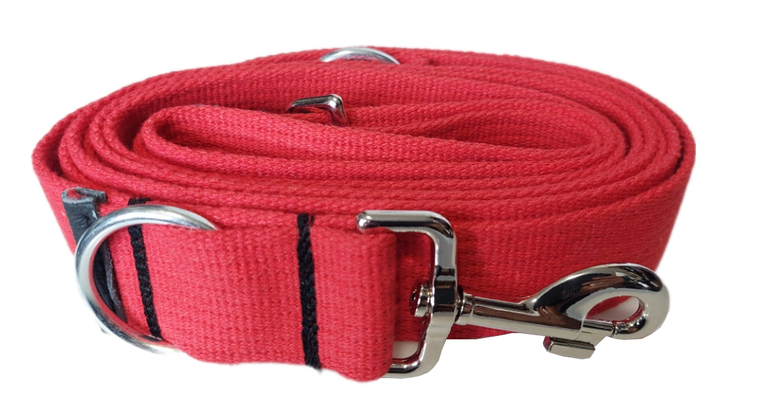 Lanyard Extra Strong Thick - Clipped 4cm 3m for Big Dog Assorted Colors Maximum leash length 3 m