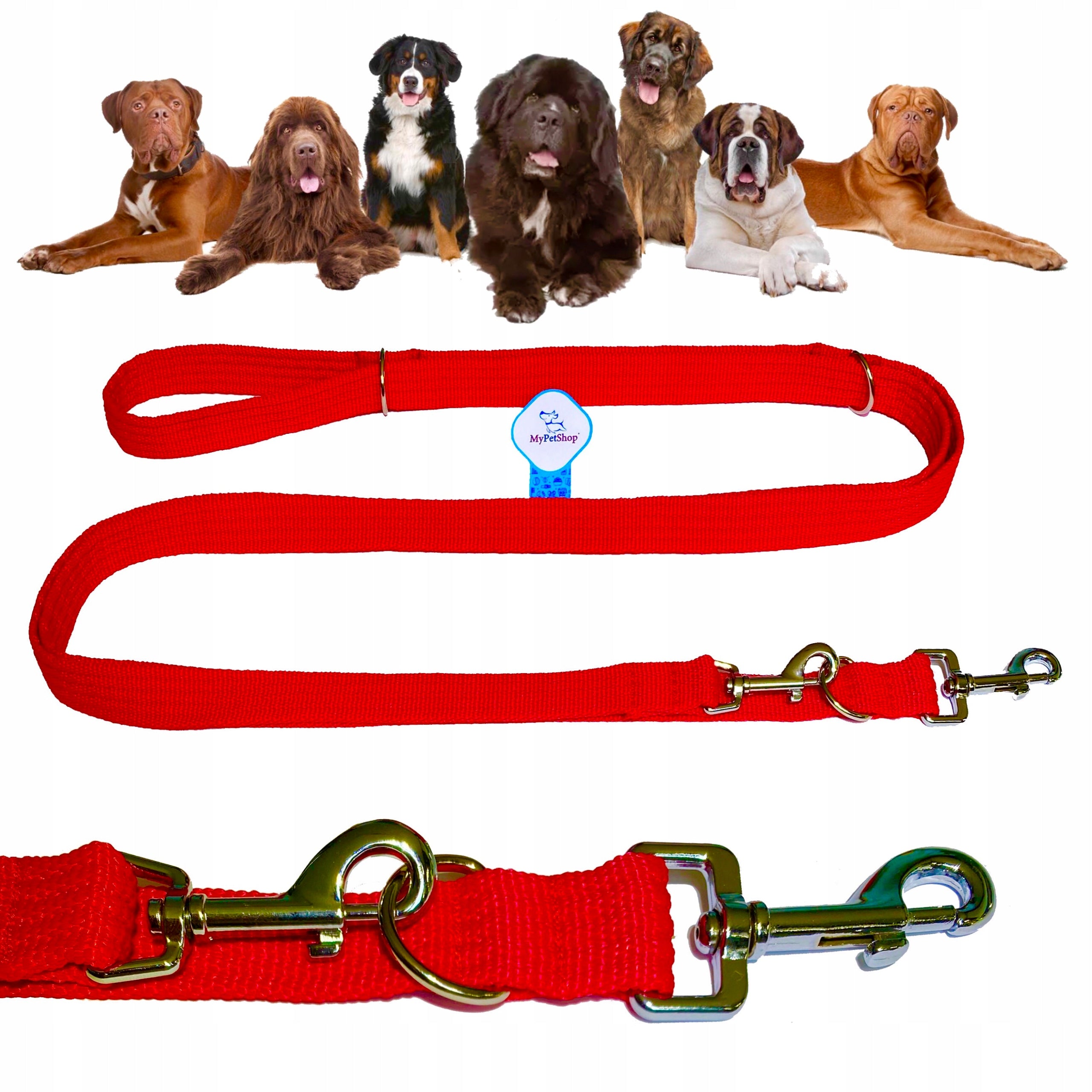 Lanyard for Big Dog Adjustable Retractable 3,2m 4 Overvoltage Woven Strong