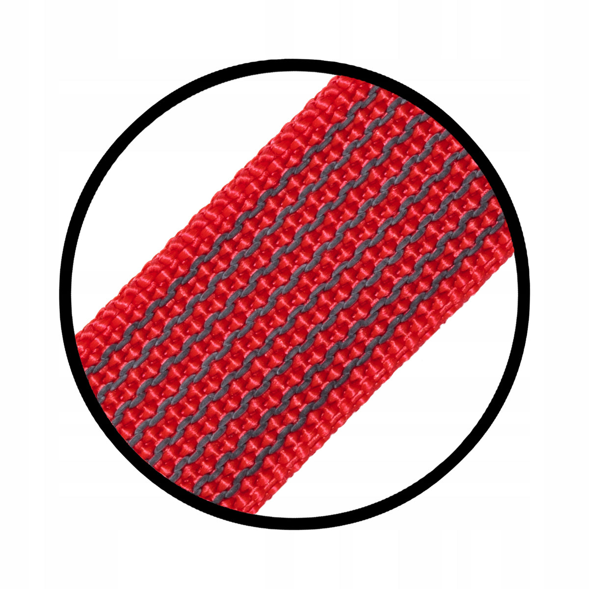 Lanyard for big dog training rope rubberized 5m red | RASCAL Brand Rascal