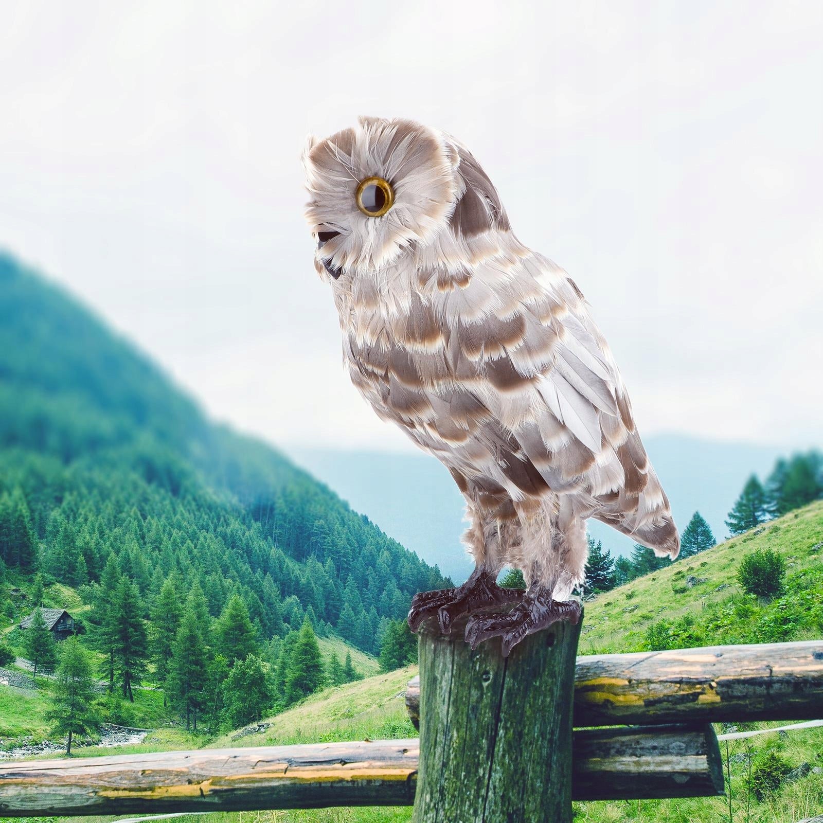 Large Artificial Owl Taxidermy Decor White/ Brown #1 Product weight with unit packaging 0.37 kg