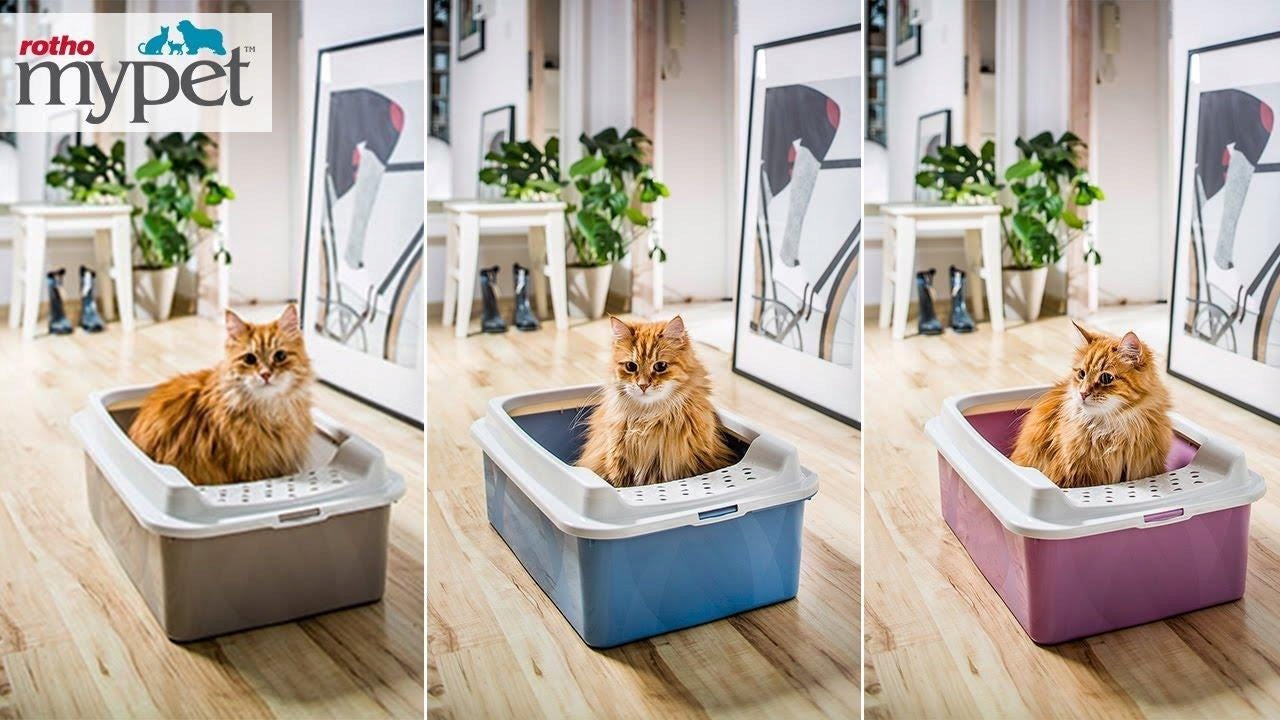 Large Cat Cuvette Open with Cappuccino Frame Cat Litter Cuvette Trade name Rotho ECO BONNIE kuweta dla kota