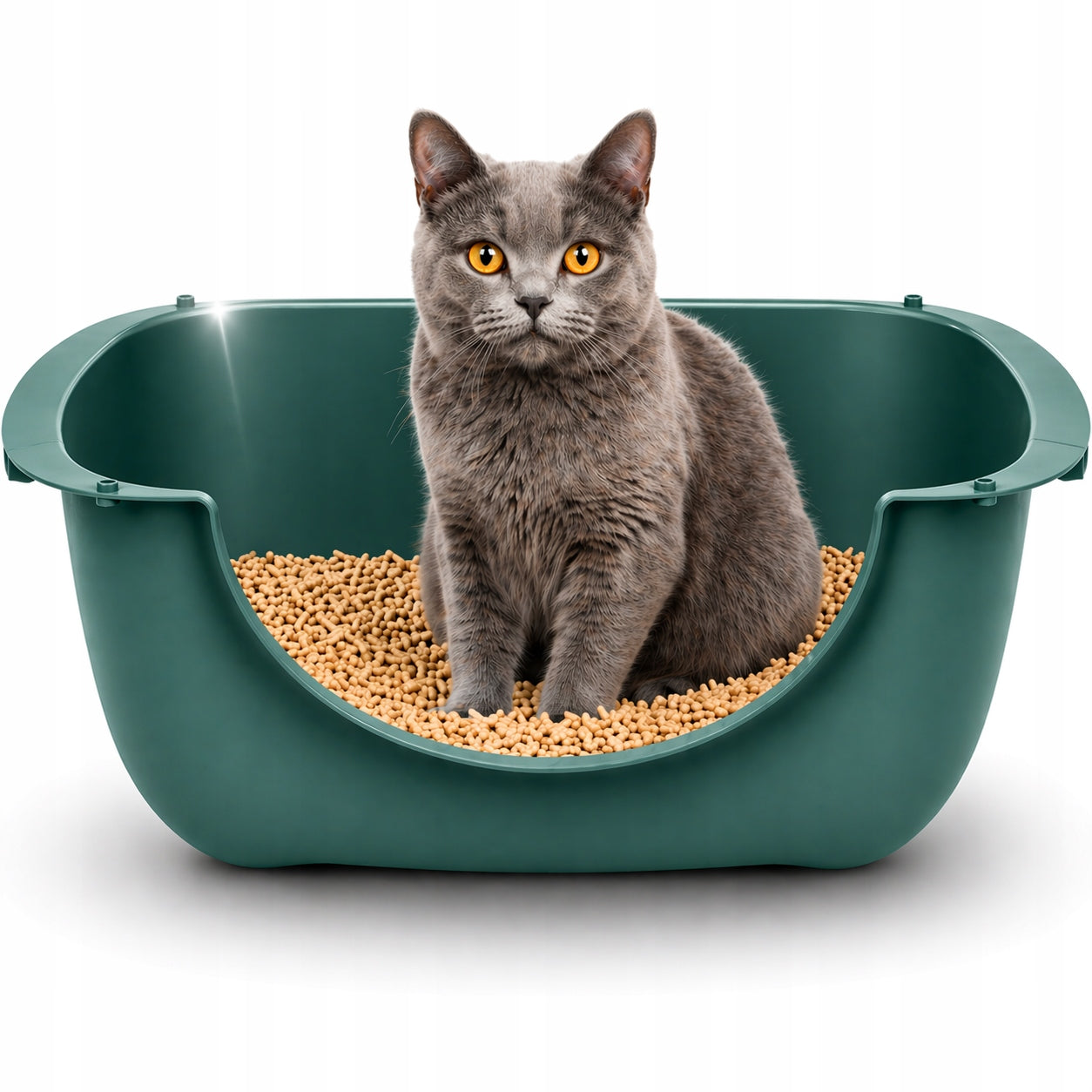 Large Cat Cuvette Open with Low Entry Cat Bed For Litter Brand Rotho