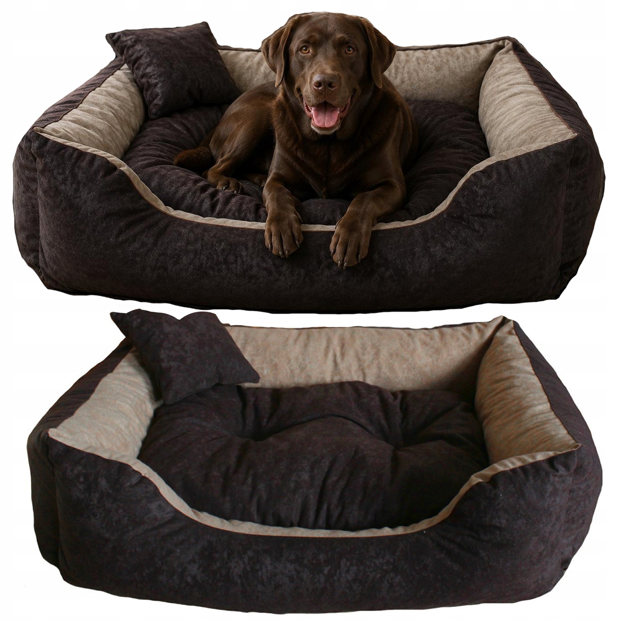 Large Dog Bed XXL Amstafa Boxer Playpen 100x80 Assorted Colors