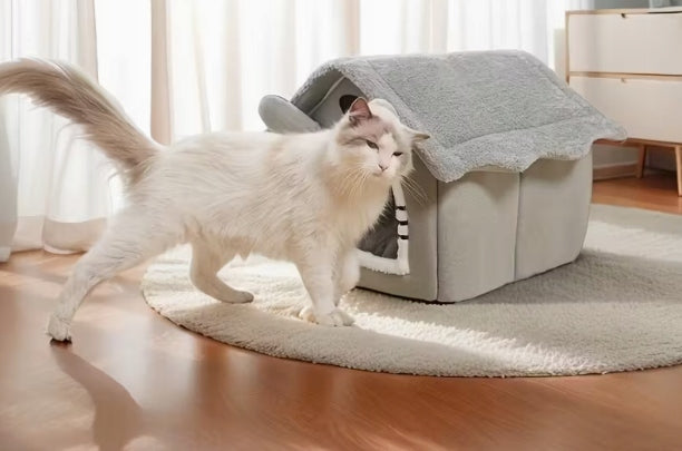 Large Dog and Cat Bed House Booth Plush Pillow for Dog Cats Brand no brand
