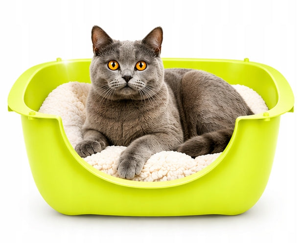 Large Modular Open Cat Cuvette with Low Cat Litter Entry Model Europlanet Bella Limonka