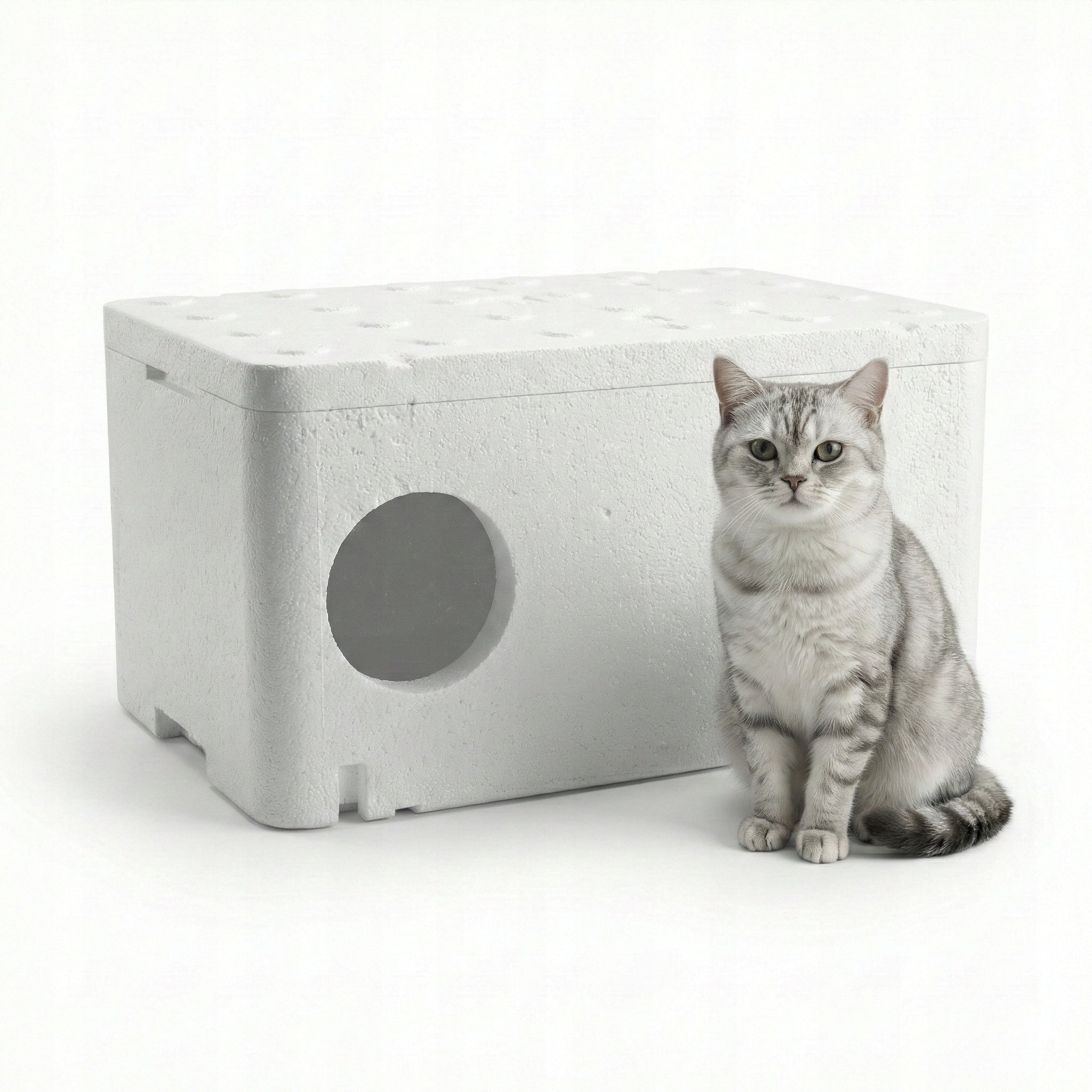 Large Spring House Styrofoam Cat Booth Box 60x40x30cm KB