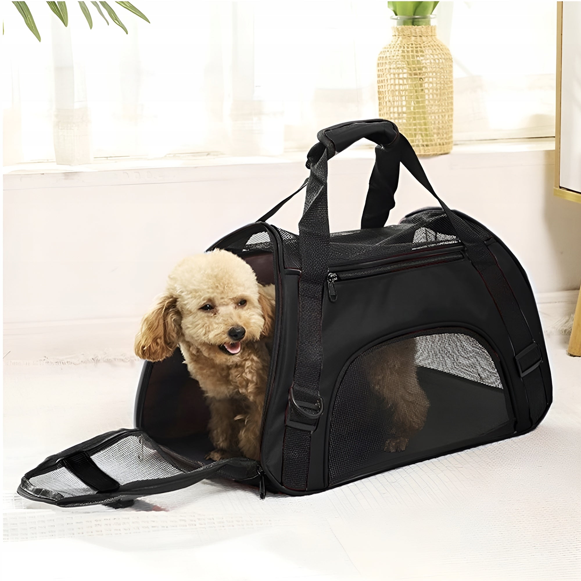 Large Strong Transporter for Rabbit Cat Dog Bag Size M Brand Modeus