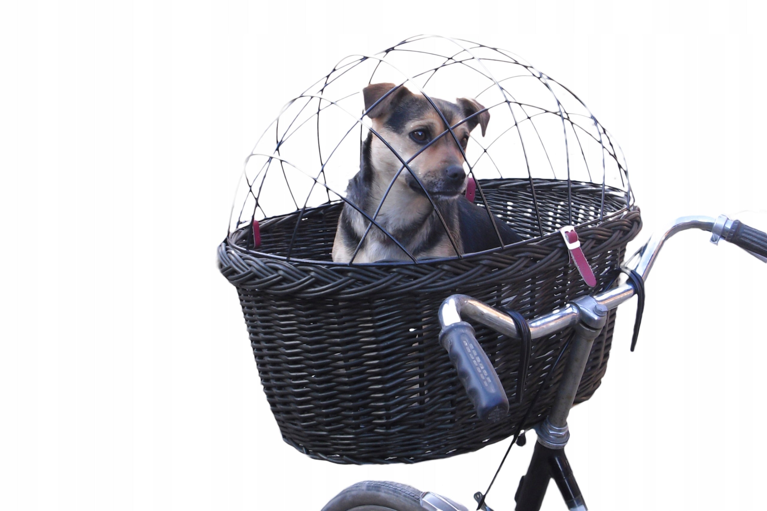 Large Wicker Basket for Dog on Bike up to 15kg 3XL