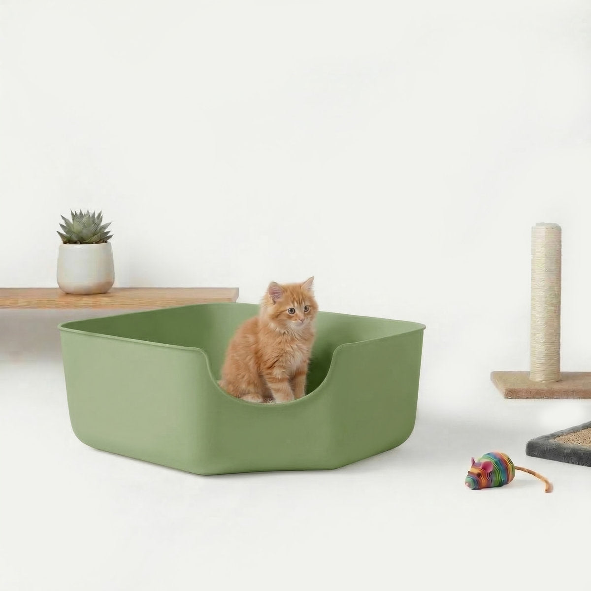 Large litter box open for cat CORNER CARINIO with spatula handle stable eco+ Kind open litter box