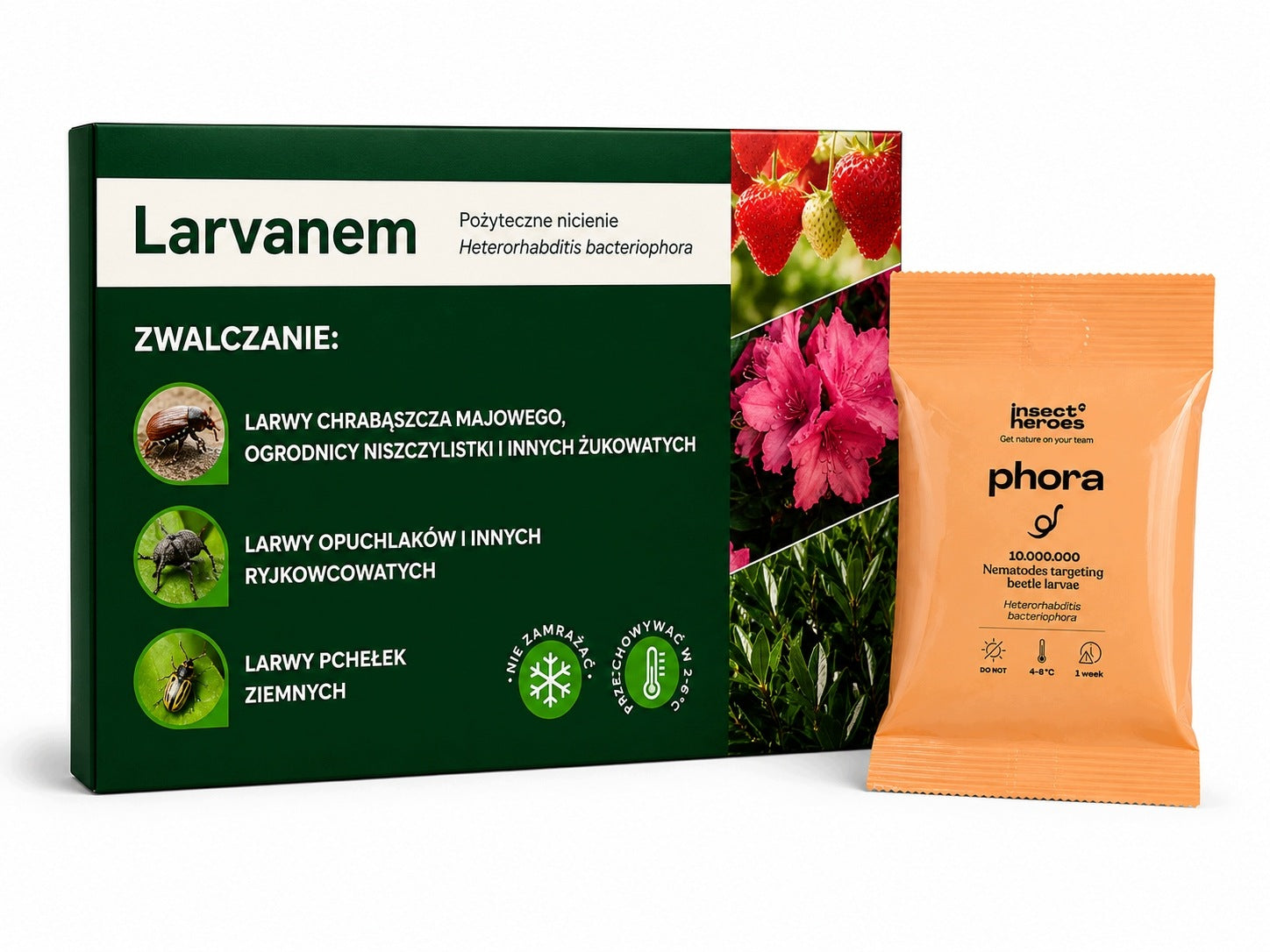 Larvanem Nematodes 10 million larvae swelling