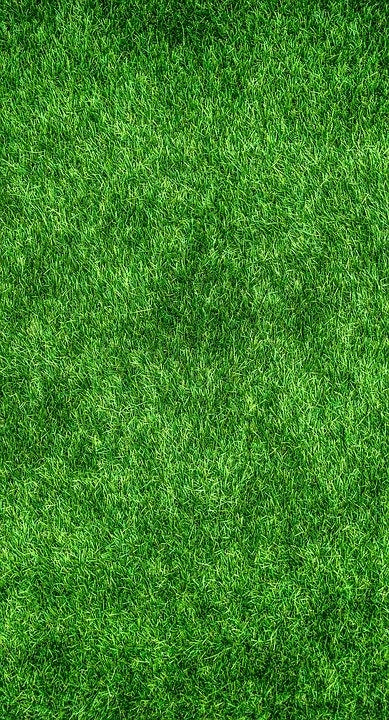 Lawn grass fertilizer PRO COMPLEX VILA 25kg Granules, for lawn, SPRING Weight 25 kg