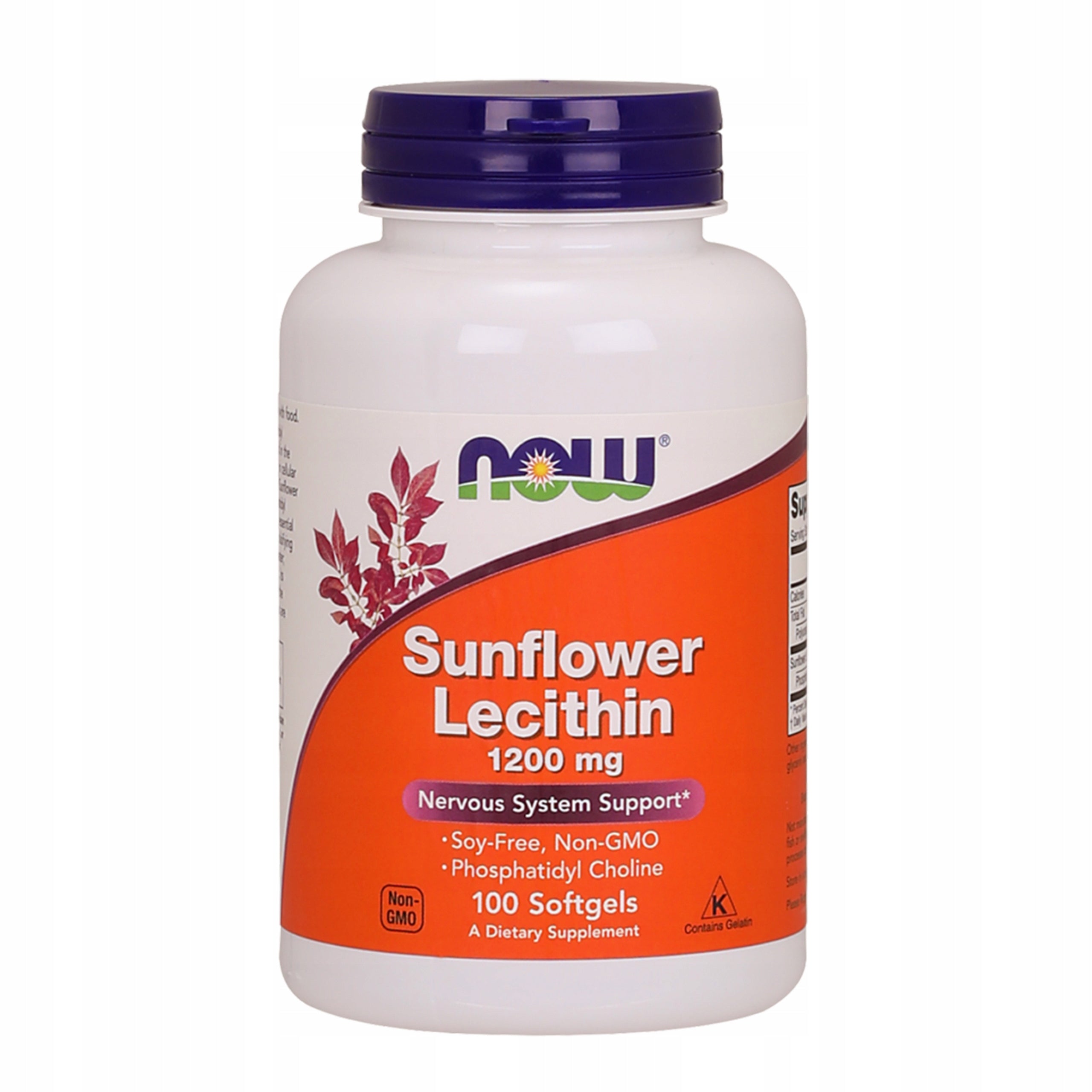 Lecithin NOW FOODS 1200mg 100 Kaps Brain Memory Sunflower Choline