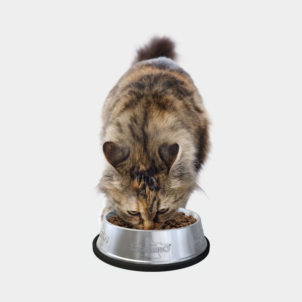 Leonardo DRINK URINARY Chicken 40g Complementary Food with Meat Pieces Brand Leonardo