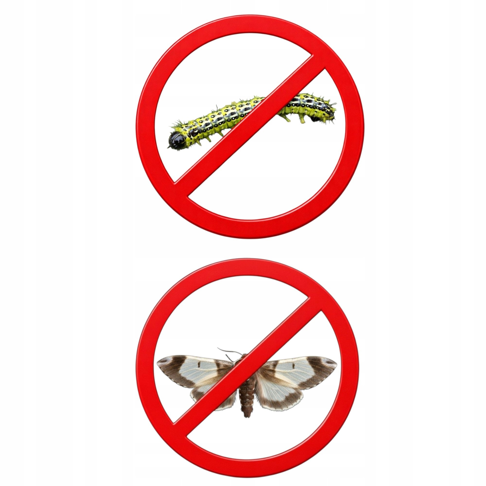 Lepinox Plus 20g (2x10g) for Buffalo Moth and Insecticide Spray Caterpillars Packaging status original