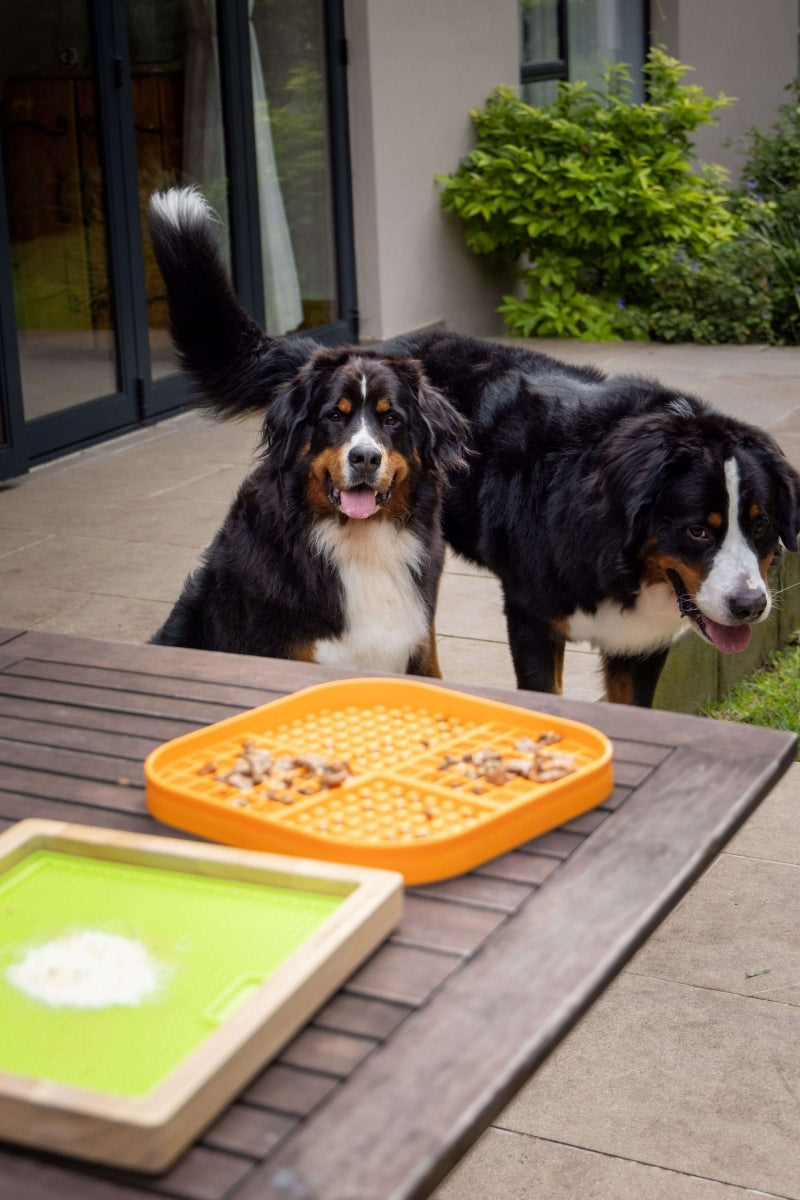 LickiMat Slomo XL Licking Mat for Medium to Large Dogs, Black Trade name Mata do lizania dla psa kota interaktywna antystresowa uspokajająca spowalniająca jedzenie