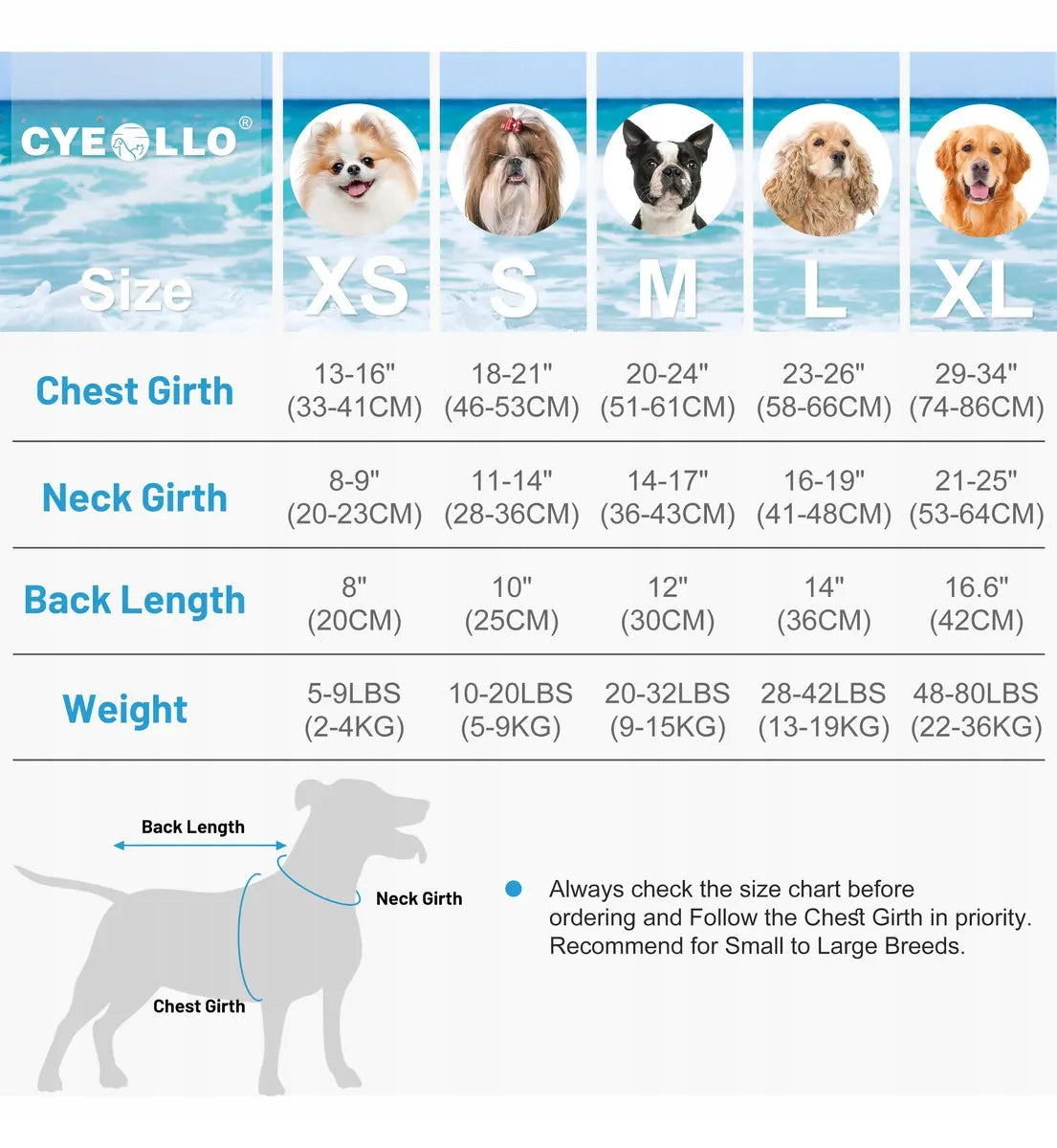 Life jackets for dogs, life jackets. Brand no brand