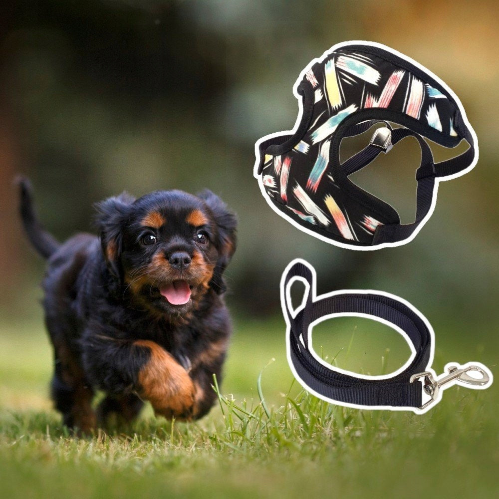 Lightweight Breathable Pressure-Free Harness for Small Dog + Black Lanyard Kind walking harness