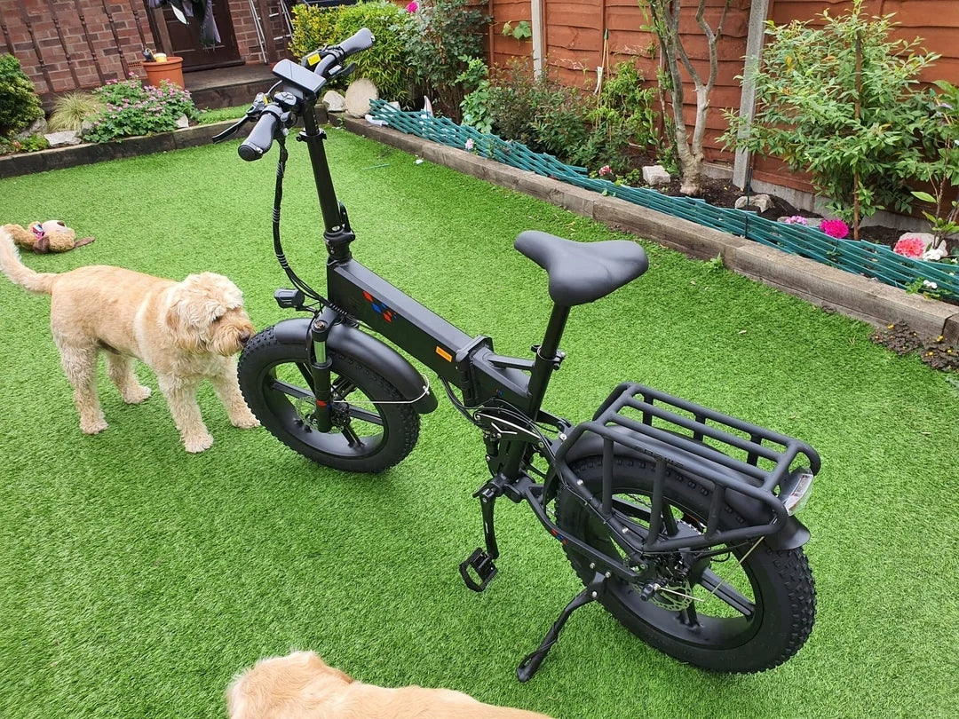 Lightweight Folding Electric Bike ENGWE ENGINE X 250W 48V 13Ah 100HP 20" Brand Engwe